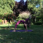 Peacock Tree Yoga backbend sequence
