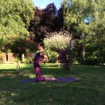 Peacock Tree Yoga backbend sequence