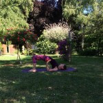 Peacock Tree Yoga backbend sequence