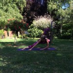 Peacock Tree Yoga backbend prep sequence