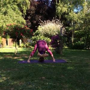 Peacock Tree Yoga backbend sequence