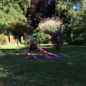 Peacock Tree Yoga backbend prep sequence