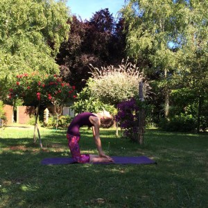 Peacock Tree Yoga backbend sequence