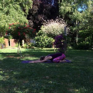 Peacock Tree Yoga backbend sequence