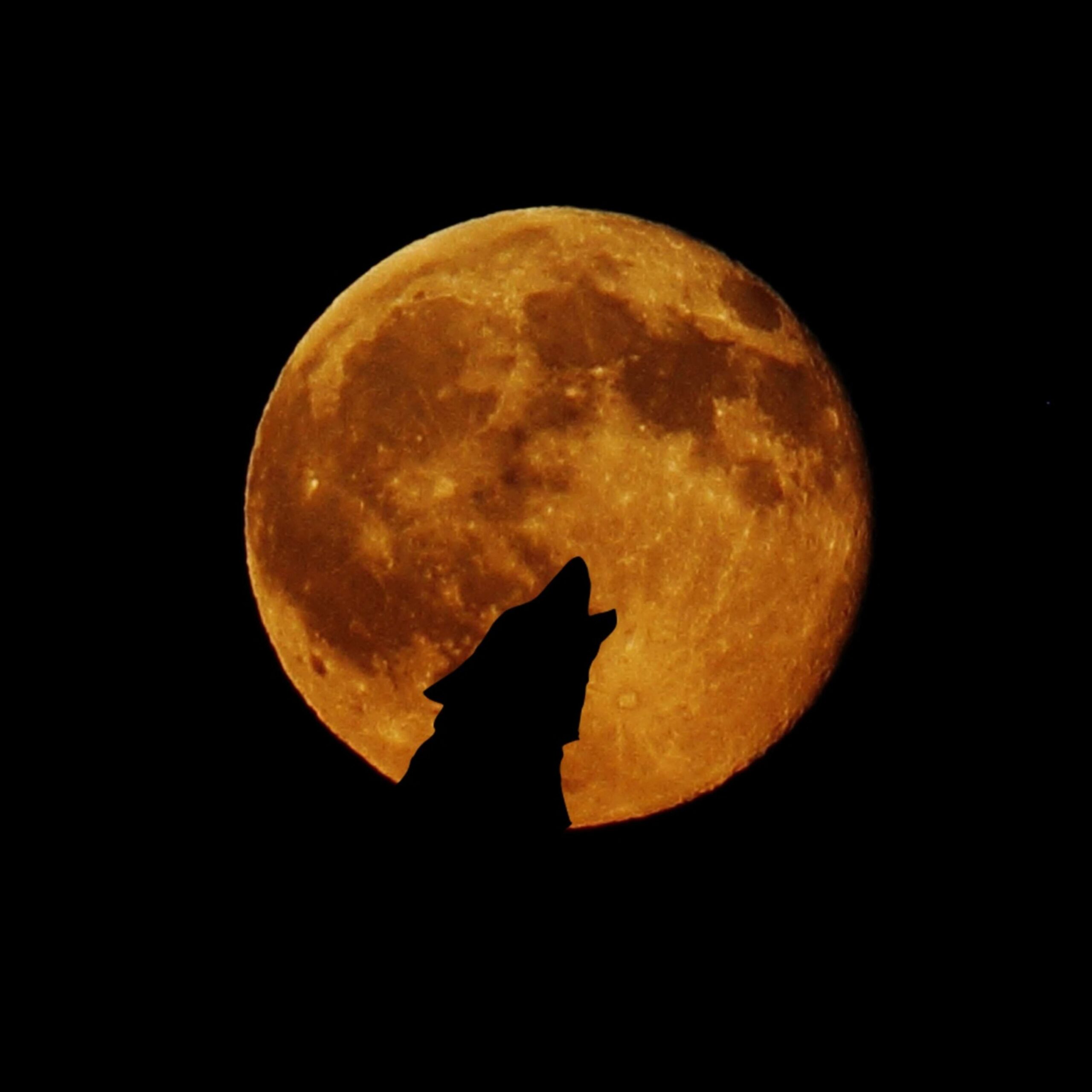 What is the Wolf Moon?